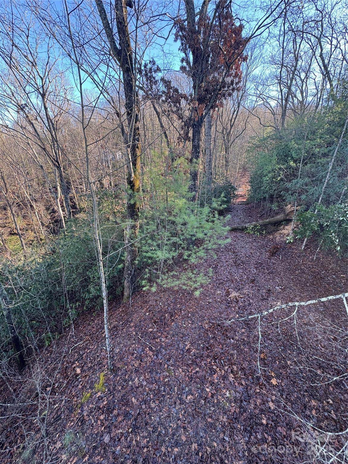 5538 Spring Road - Photo 1