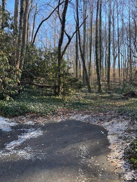 0 Savannah Drive - Photo 1