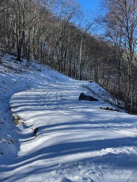 00 Wandering Trail - Photo 1