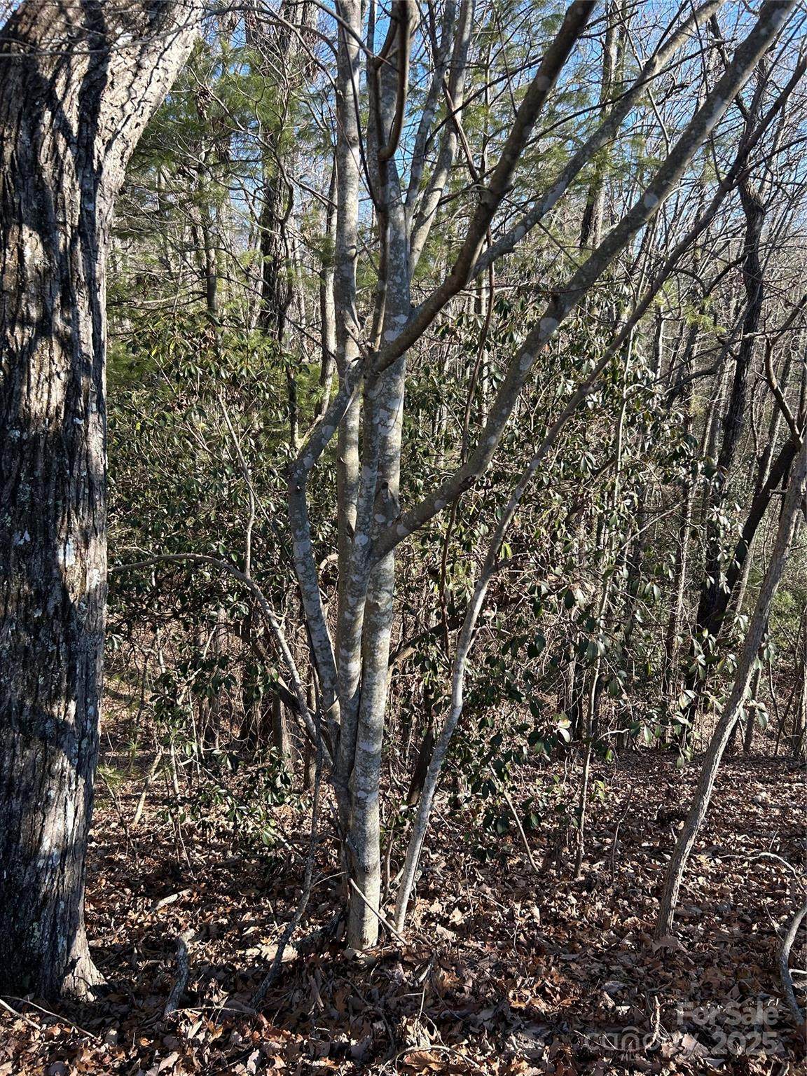 https://bt-photos.global.ssl.fastly.net/cmls/orig_boomver_1_4217685-1.jpg