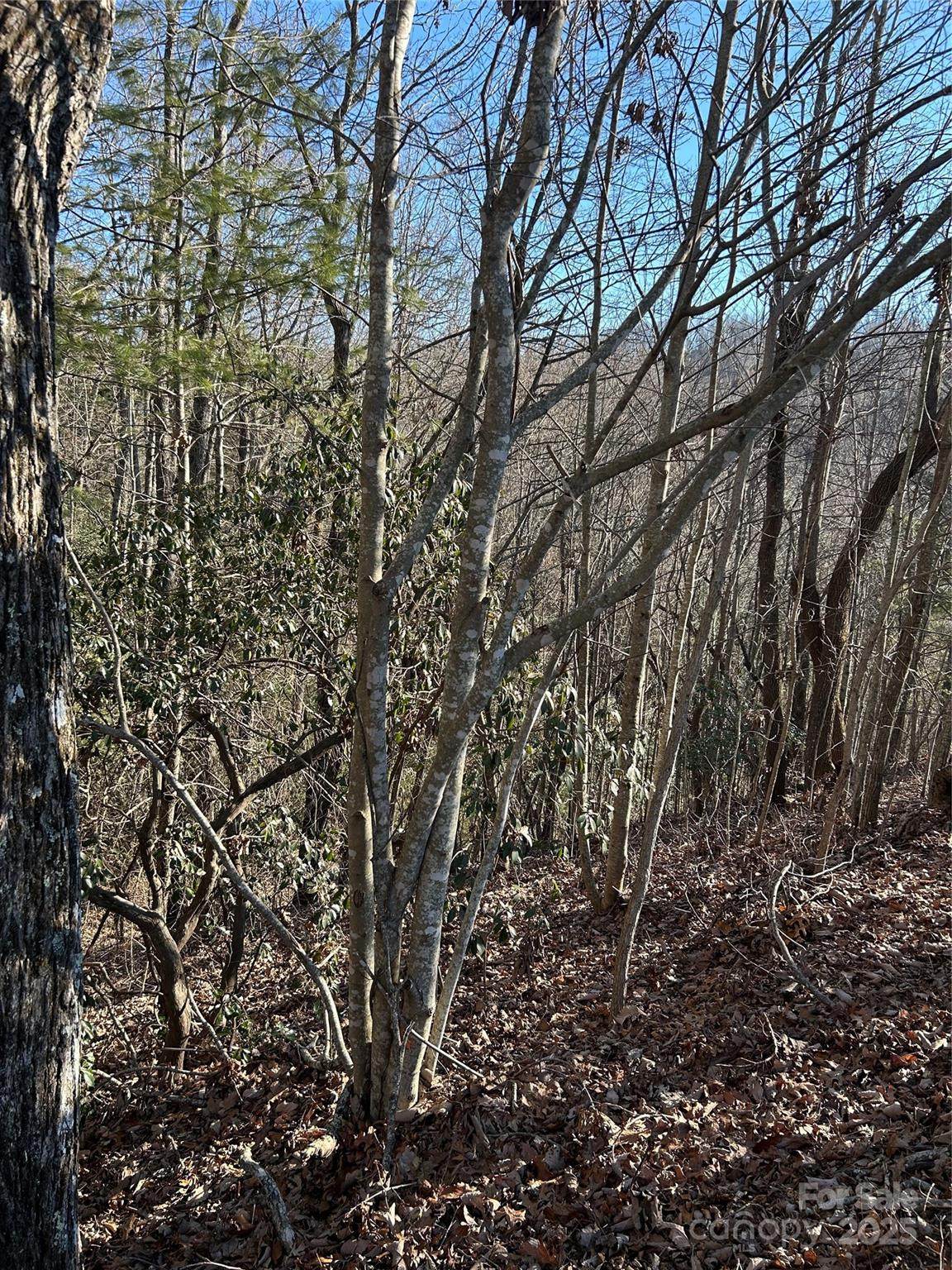 https://bt-photos.global.ssl.fastly.net/cmls/orig_boomver_1_4217685-1.jpg