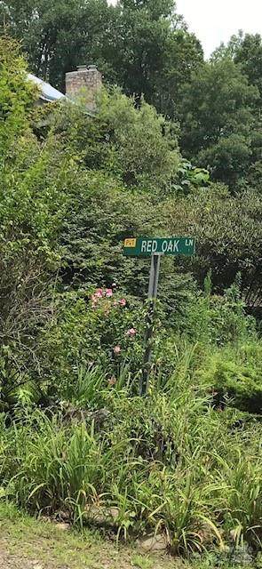 00 Red Oak Lane - Photo 1