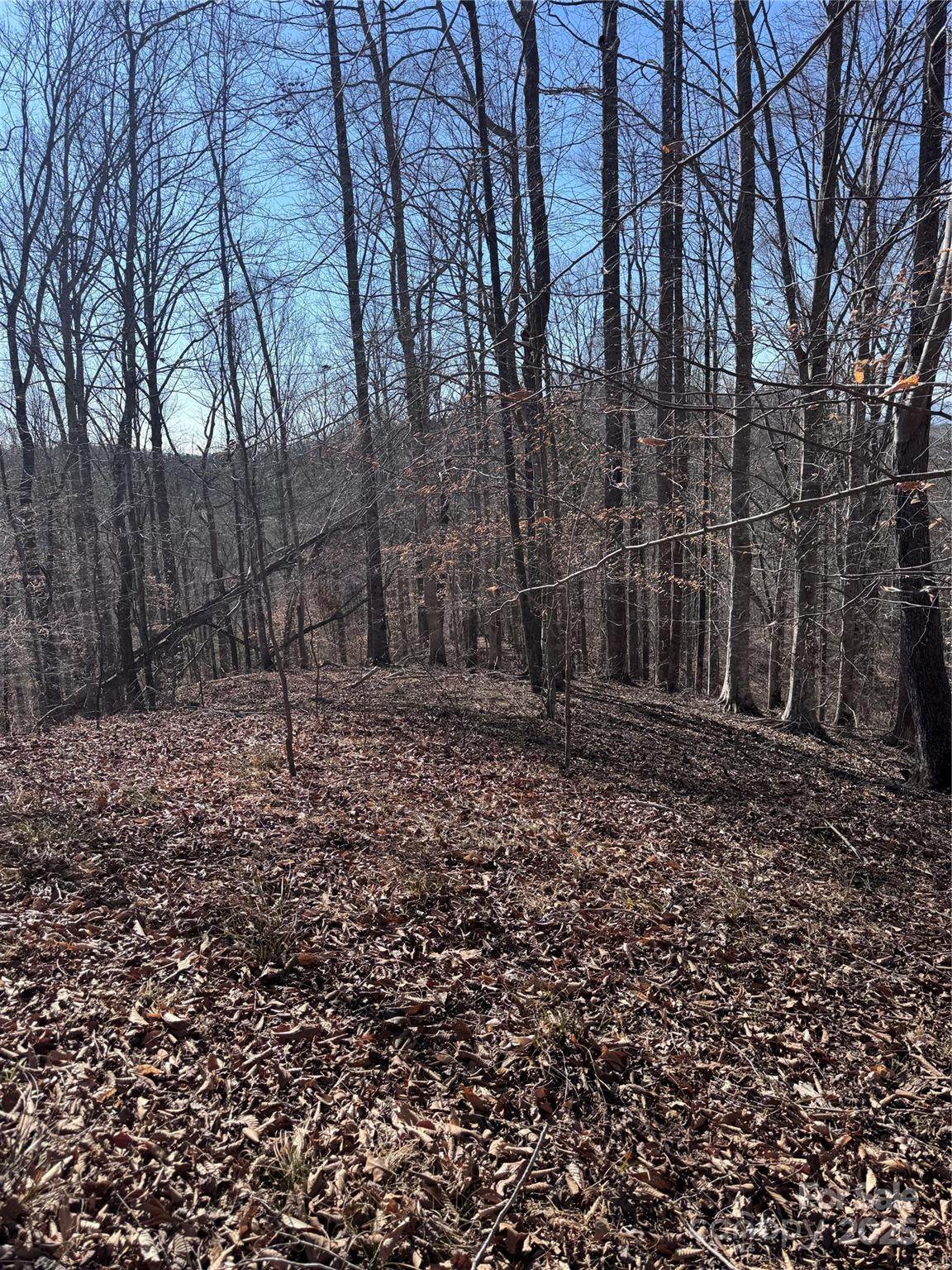 0 Cross Creek Drive - Photo 1