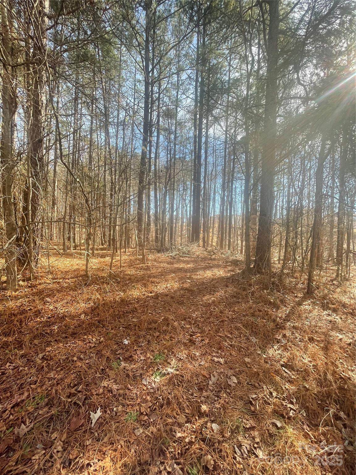 00 Rutan Court - Photo 1