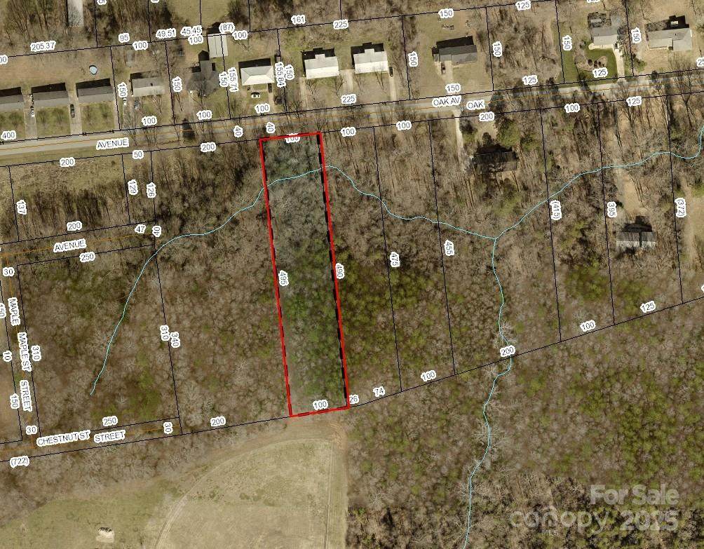 0000 Oak Street - Photo 1