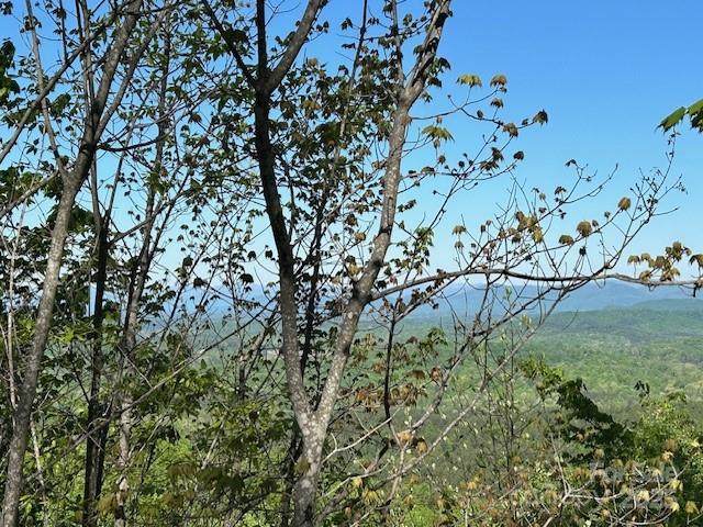 0 Arbra Mountain Way - Photo 1