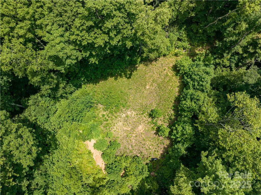 3168 Parris Branch Road - Photo 1