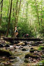 85 Southshore Drive - Photo 38