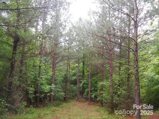 3054 Heglar Road - Photo 1