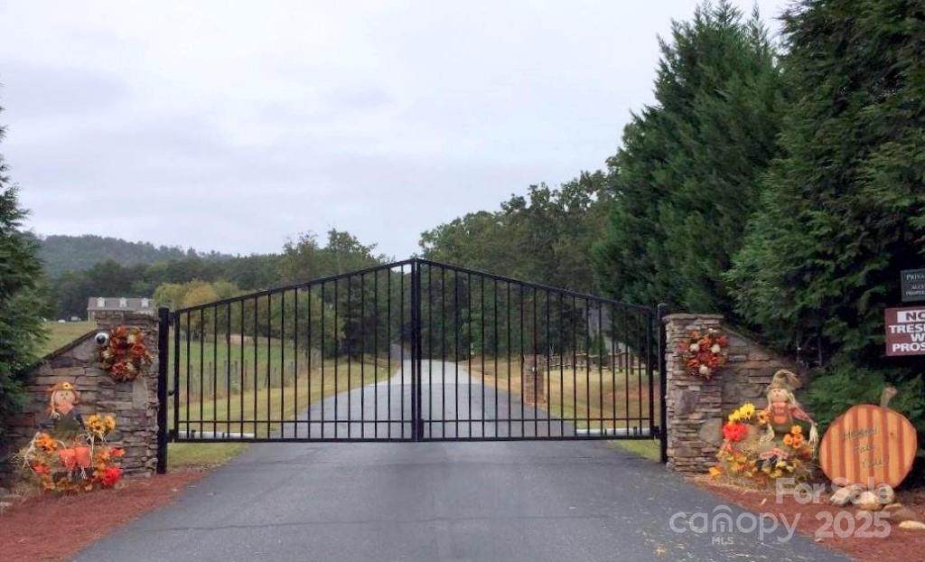 121 Arbra Mountain Way - Photo 1