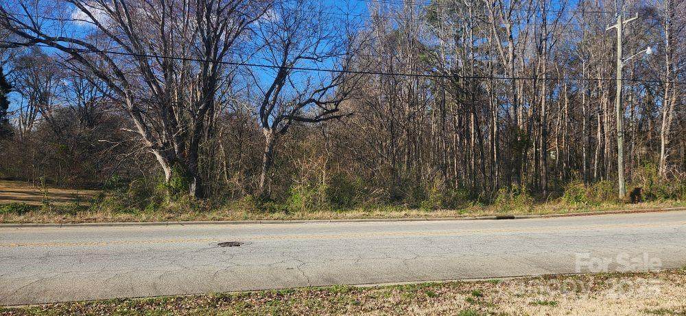 0 Martin Luther King Avenue - Photo 1