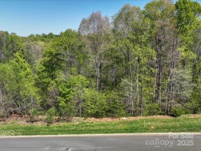 1107 Sawtooth Oak Lane - Photo 1