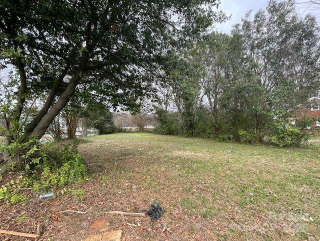 1815 Beatties Ford Road - Photo 1