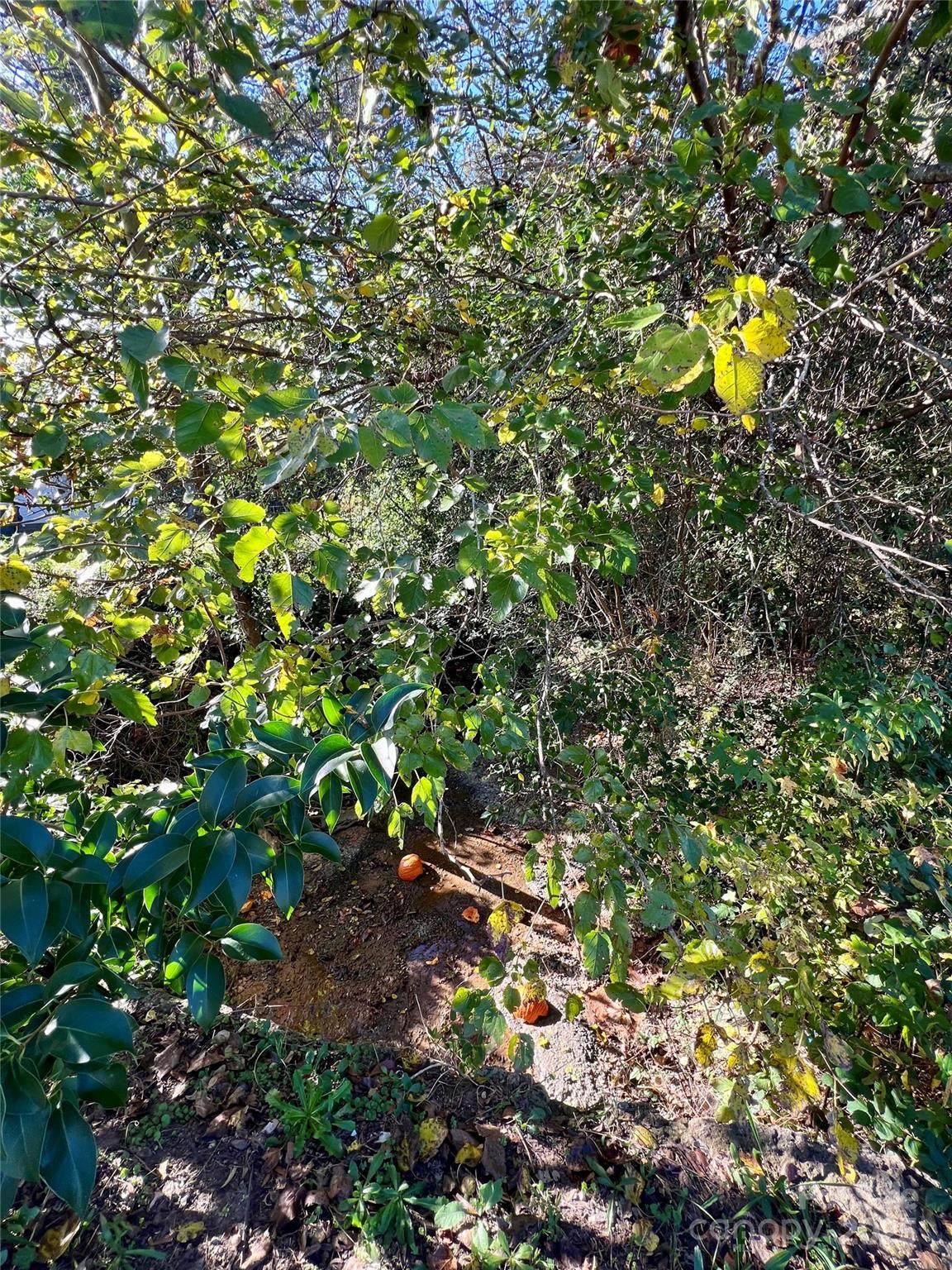 https://bt-photos.global.ssl.fastly.net/cmls/orig_boomver_1_4238133-1.jpg