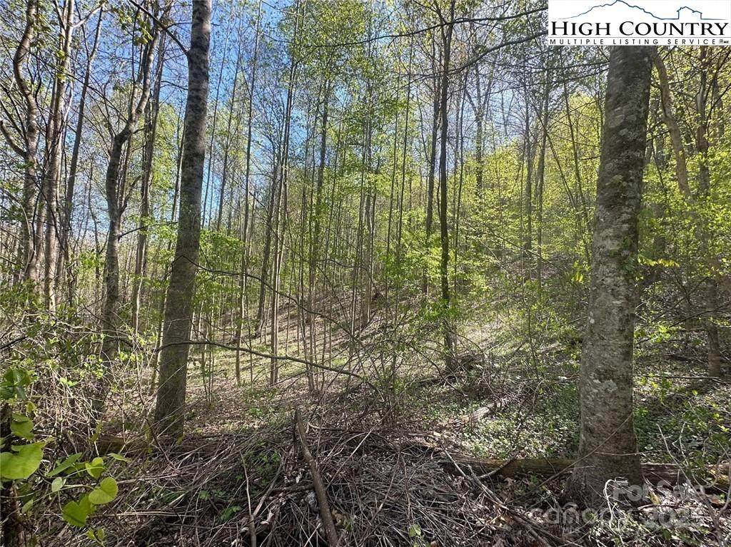 TBD Quail Hollow Drive - Photo 1