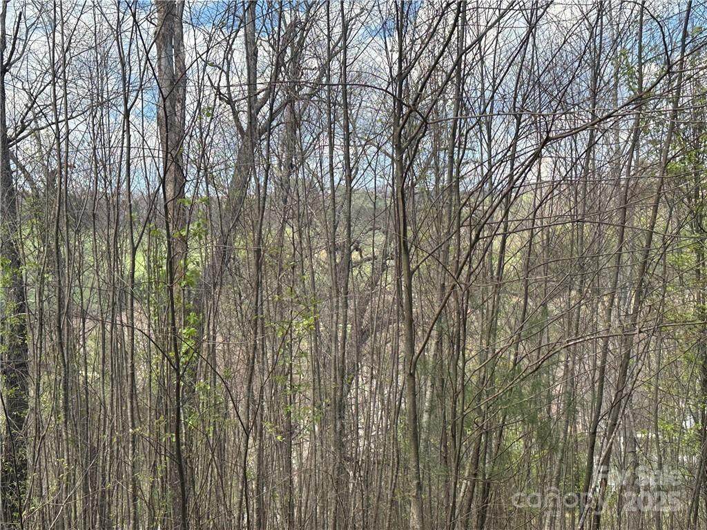 TBD Landing Ridge - Photo 1