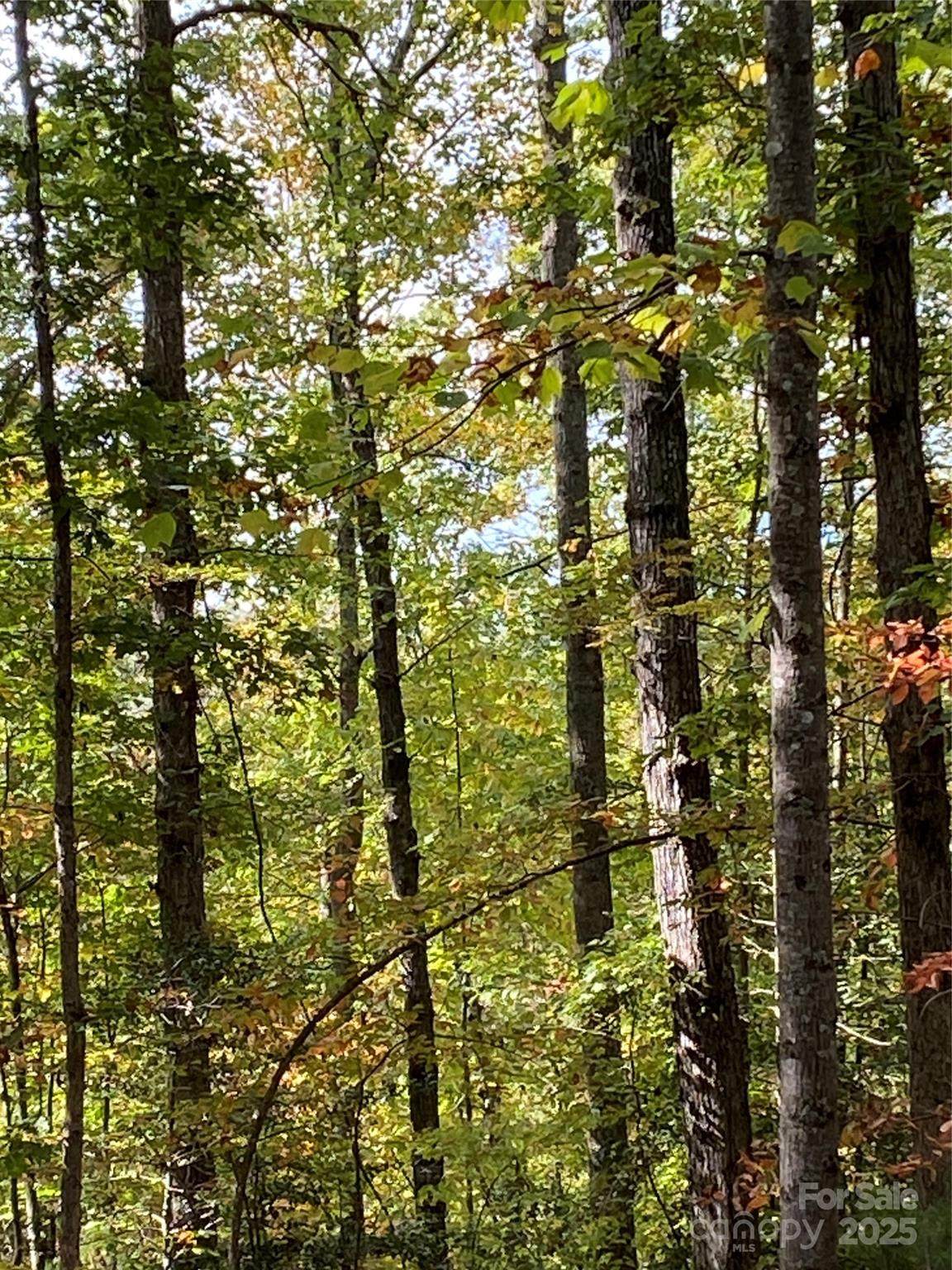 Lot 28 Mentink Way - Photo 1