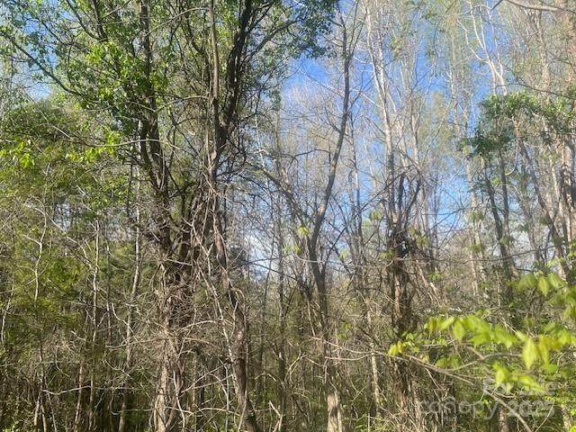 0 Bee Tree Road - Photo 1