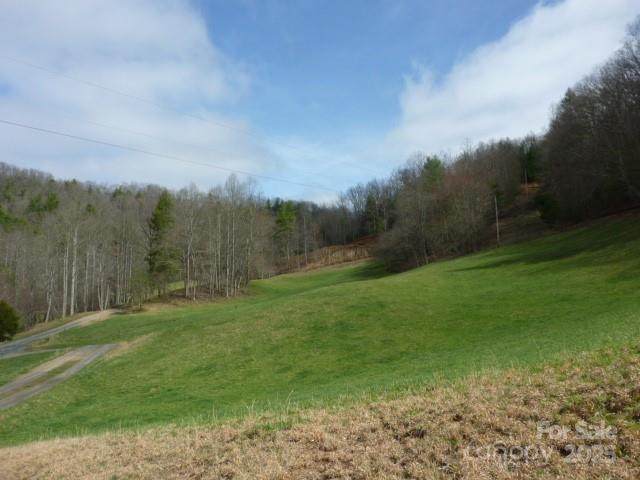 tbd Joe Tweed Road - Photo 1