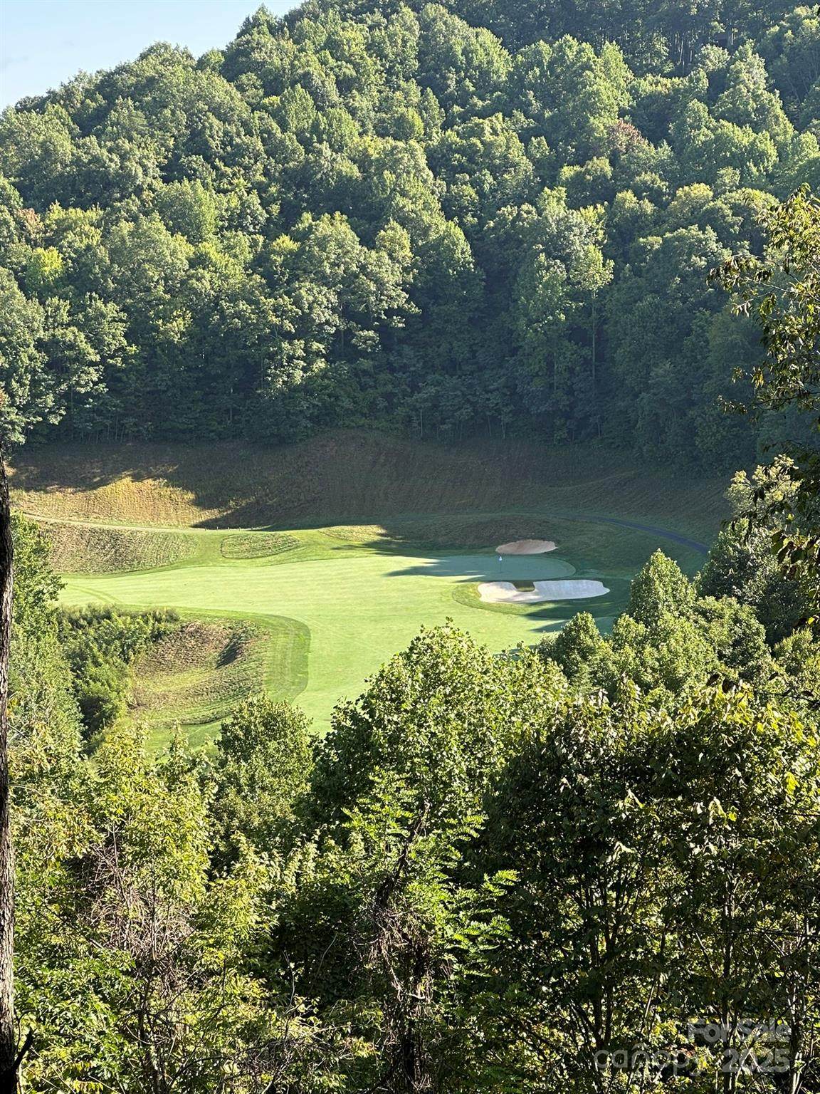 142 Old Growth Way - Photo 1