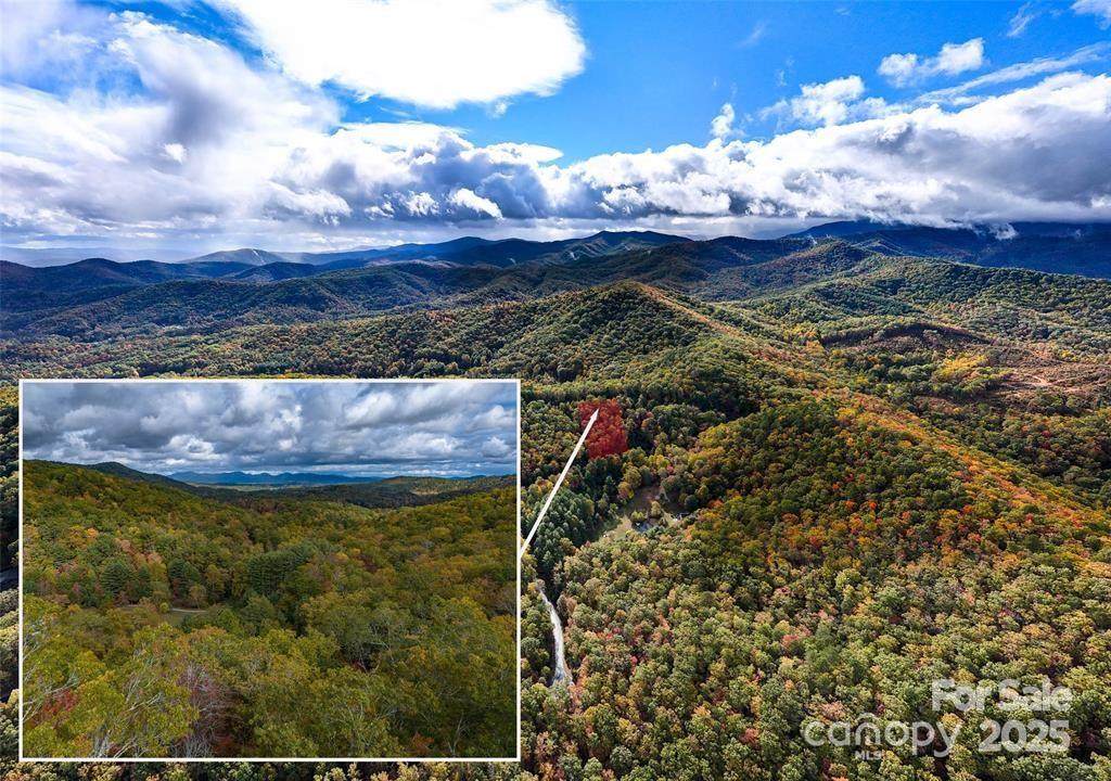 99999 Mills River Way - Photo 1