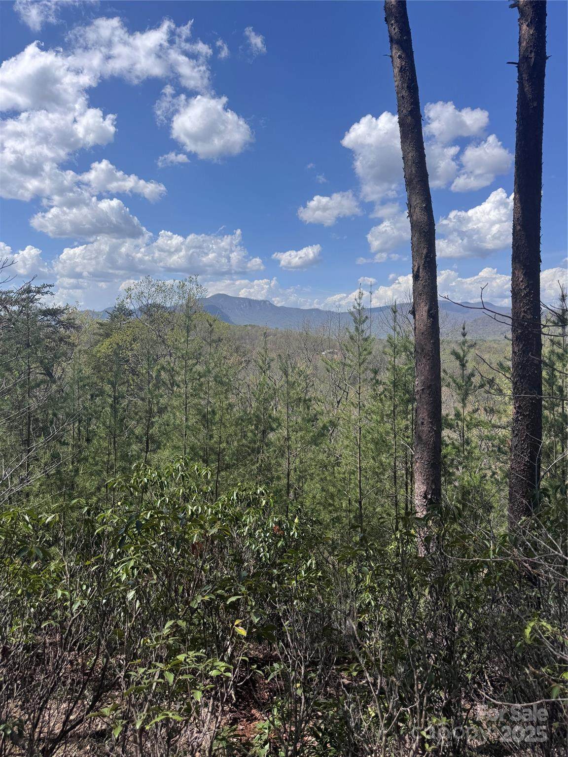 0 High Pines Loop - Photo 1