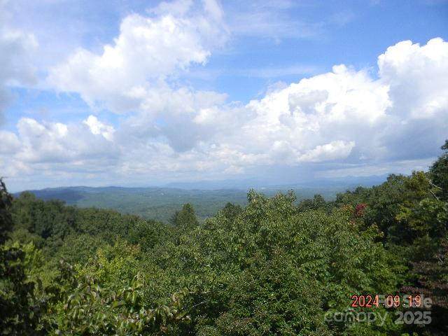 7866 Pinnacle Mountain Road - Photo 1