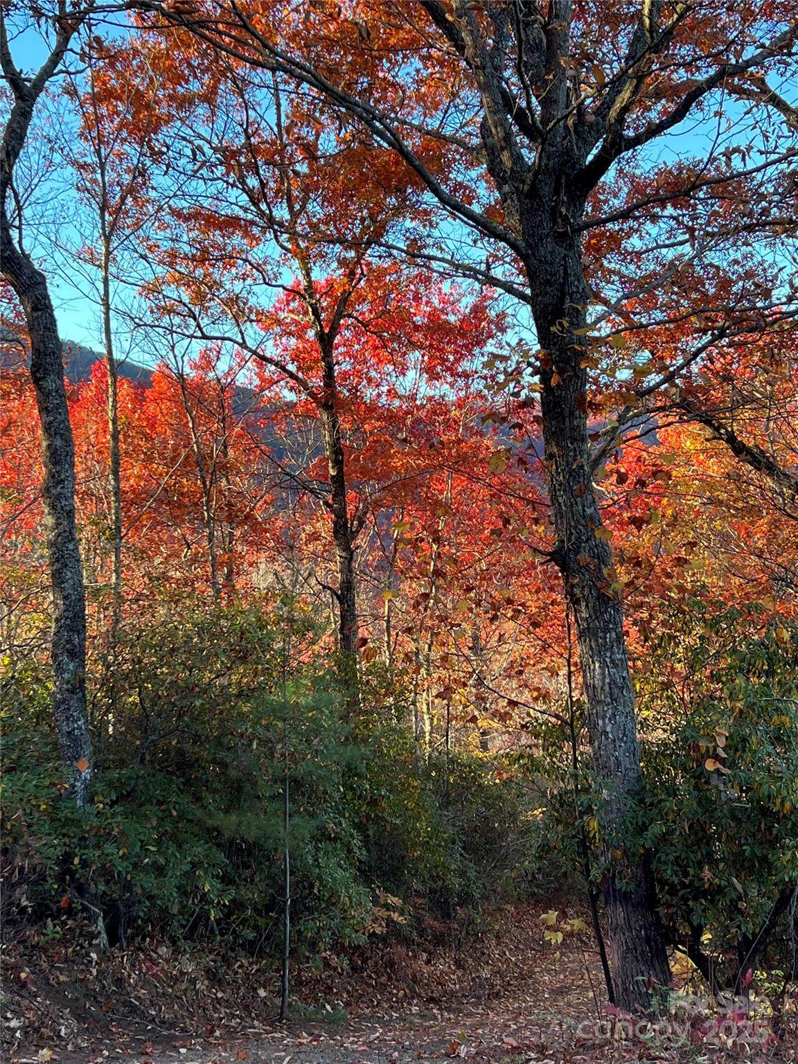 69 & 81 Winter Moon Ridge - Photo 1