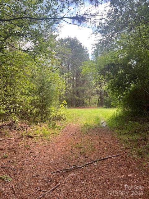 tbd Pleasant Hill Church Road - Photo 1