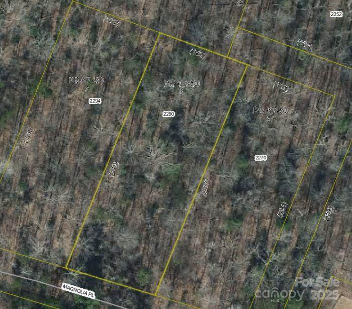 2290 Magnolia Place - Photo 1