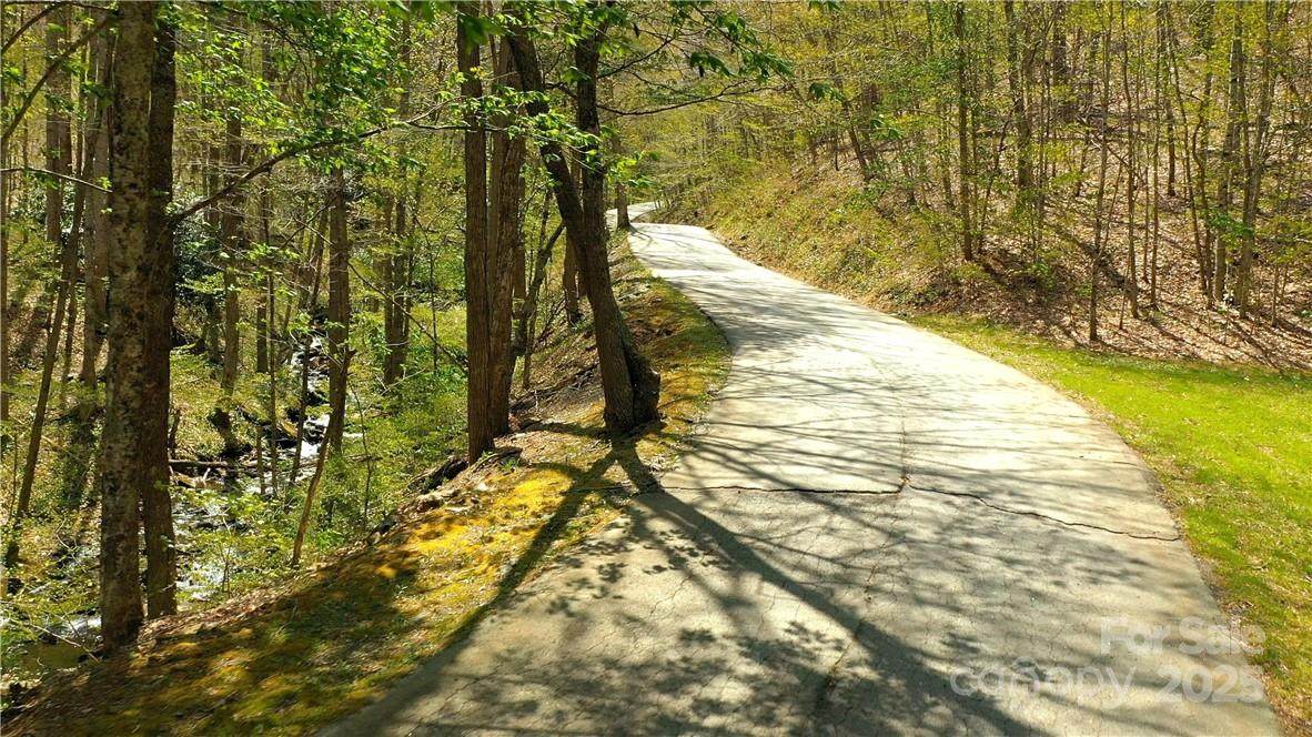 5 Wolfsbane Trail - Photo 1