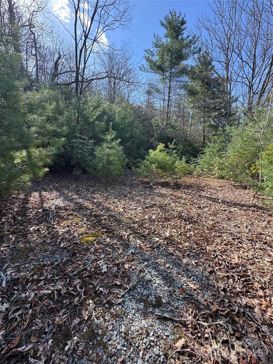 7797 Huskins Drive - Photo 1