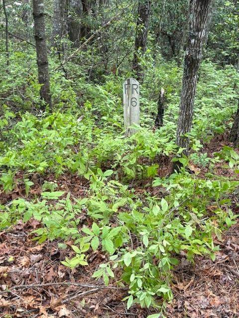 FR 16 Opossum Path - Photo 1