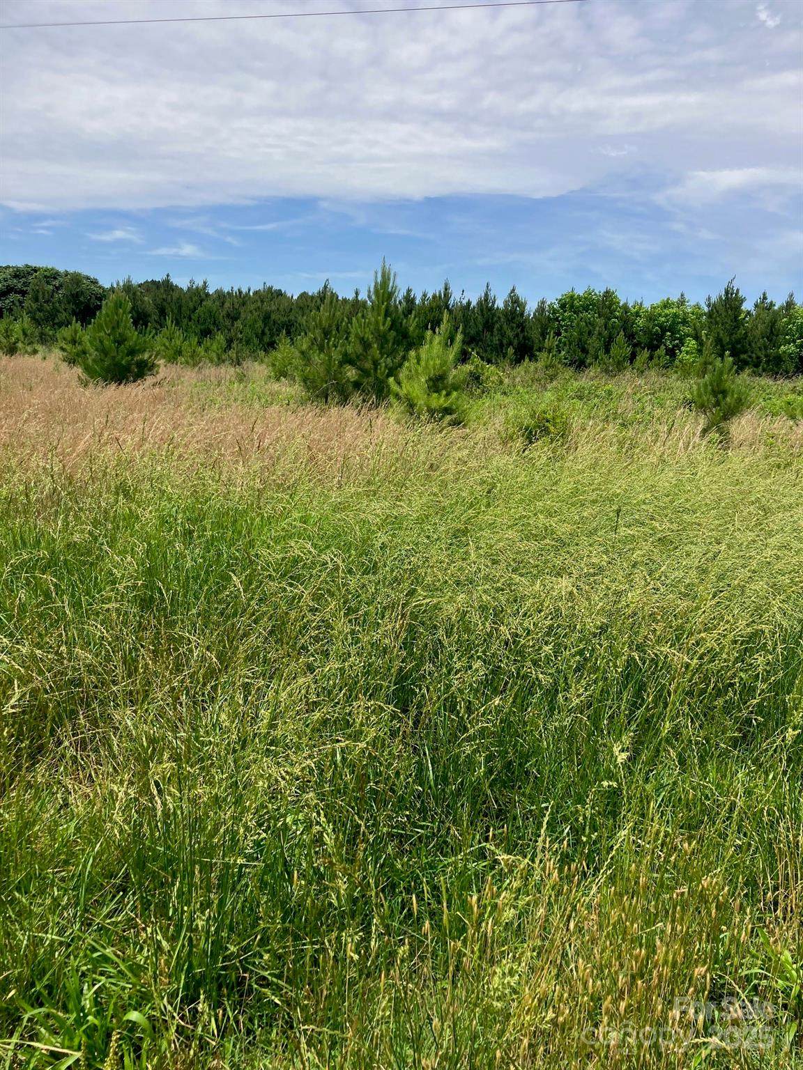 0 Renee Ford Road - Photo 1