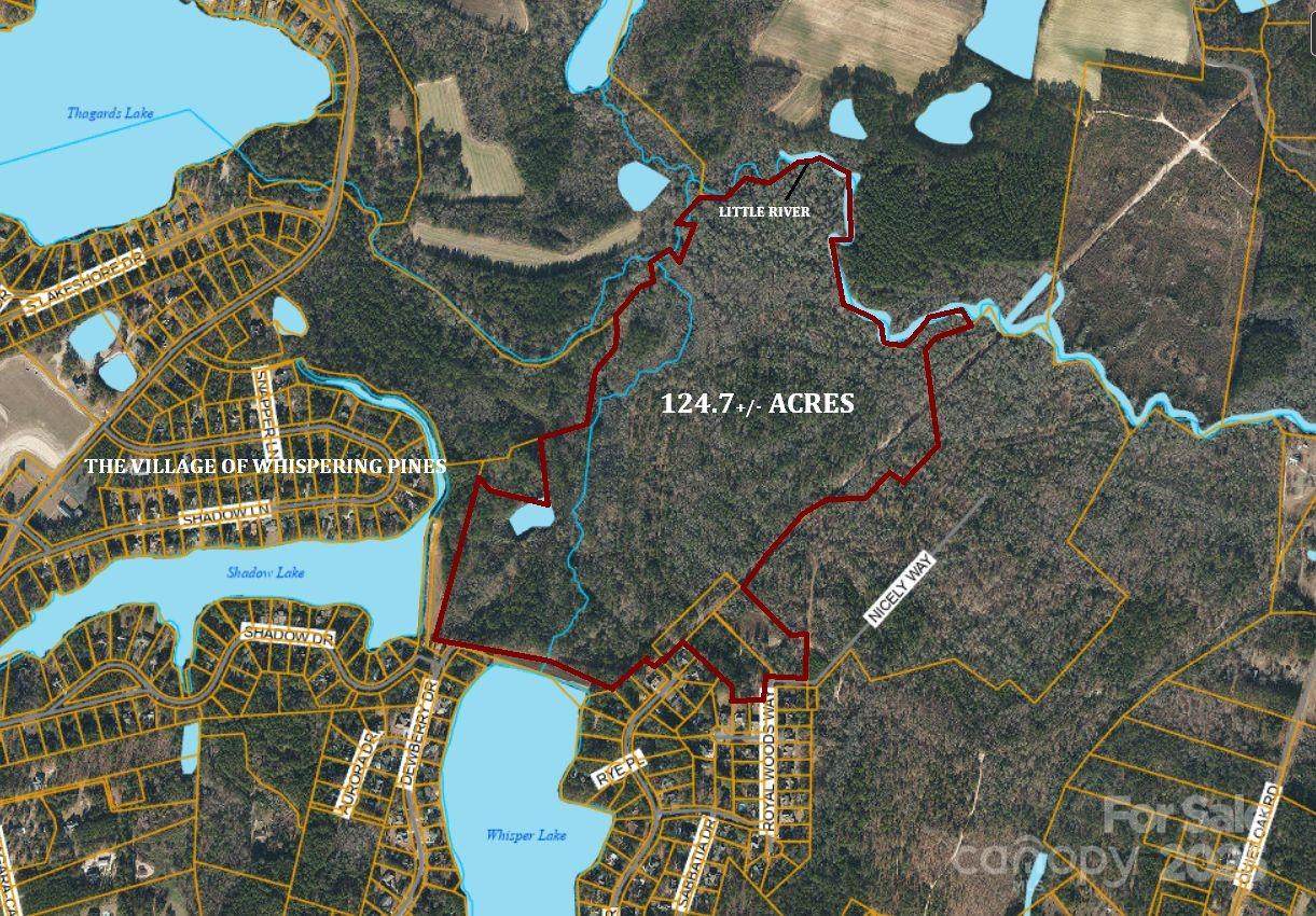 TBD Goldenrod Drive - Photo 1