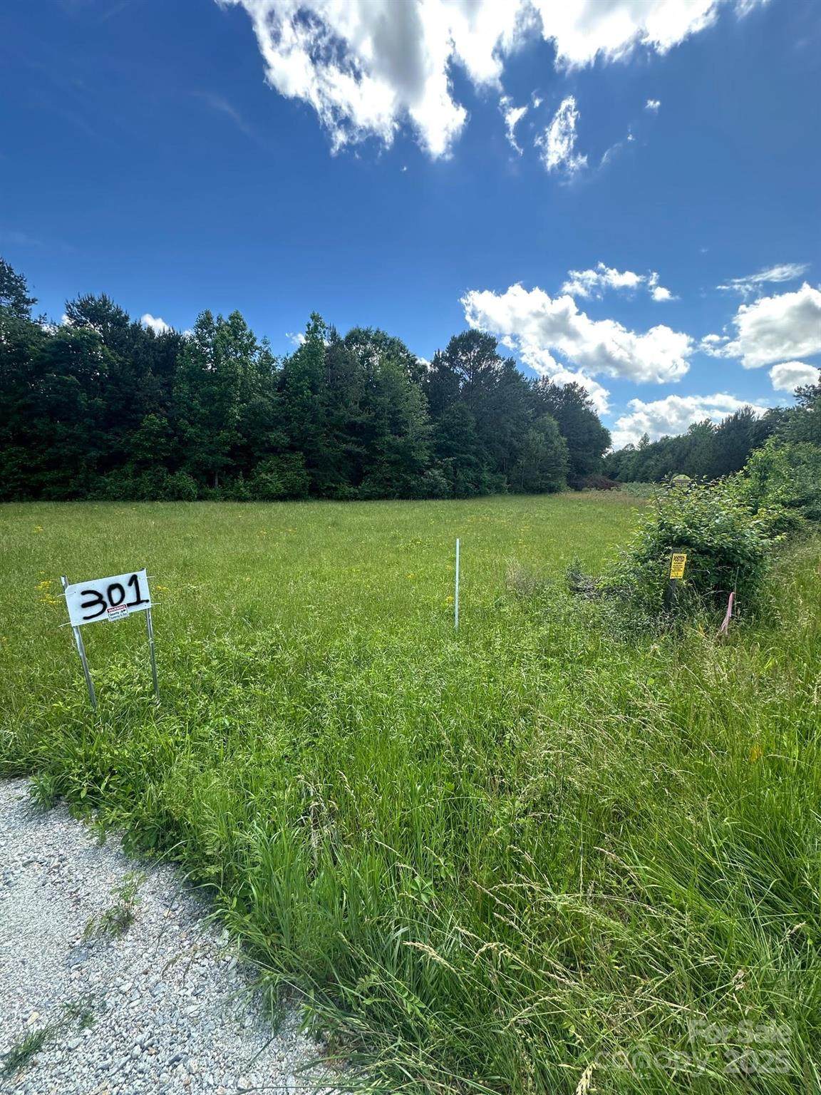 301 Sweet Gum Road - Photo 1