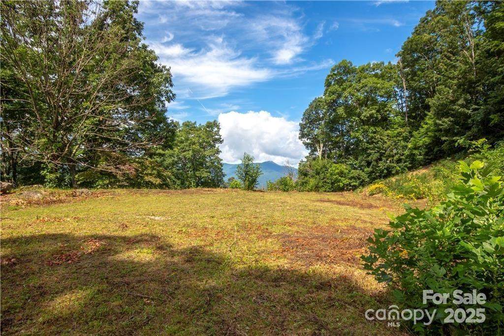45 Weatherwatch Lane - Photo 1