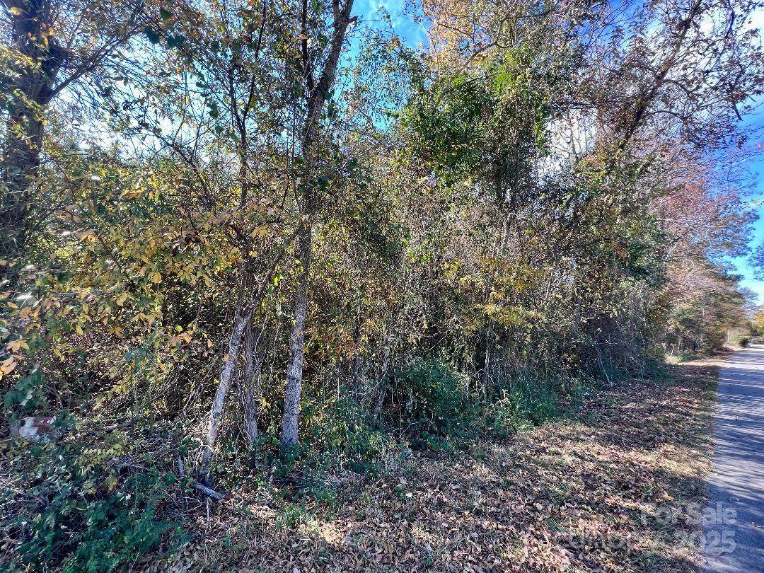 03 Old Camden Highway - Photo 1