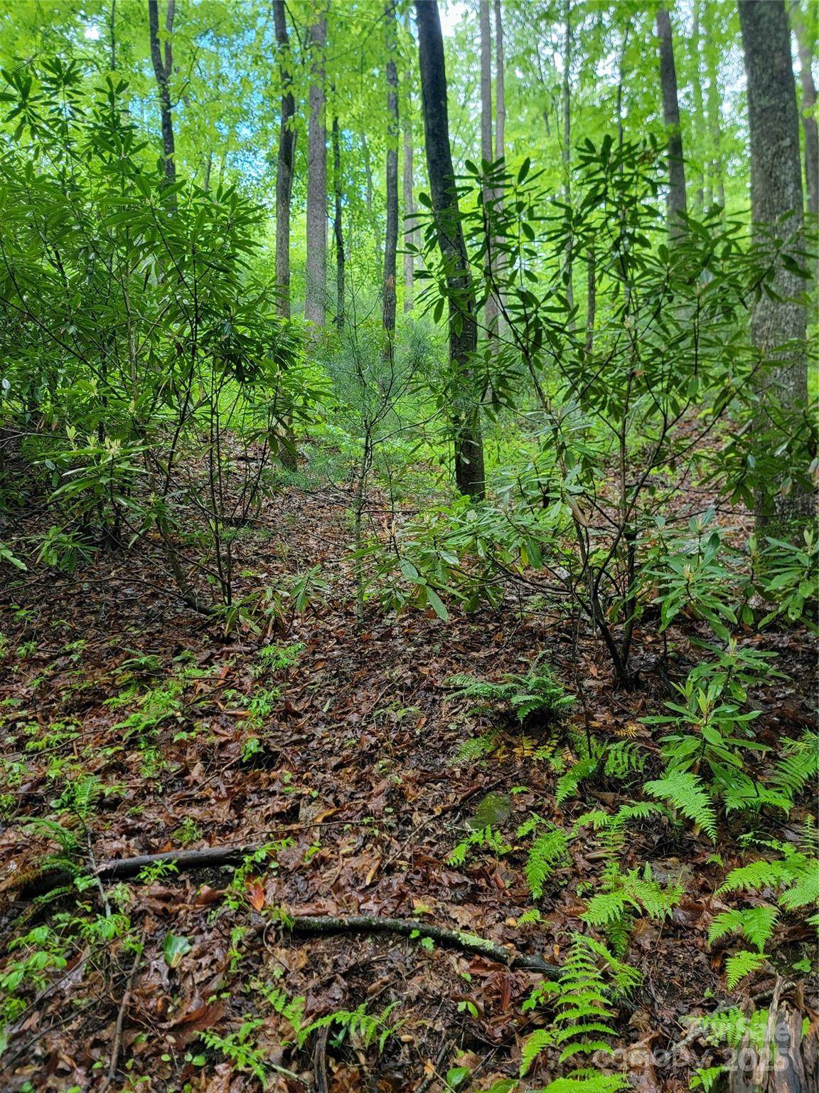 000 Rocky Top Road - Photo 1