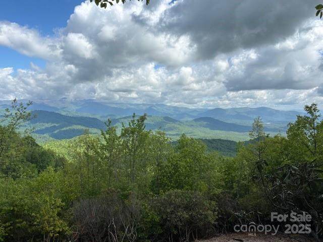 99999 Cliffledge Trail - Photo 1