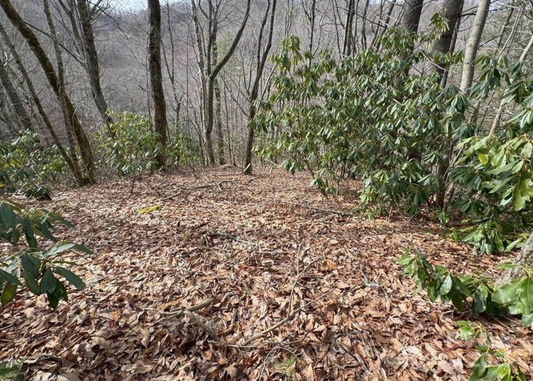 TBD Big Ridge Road - Photo 1