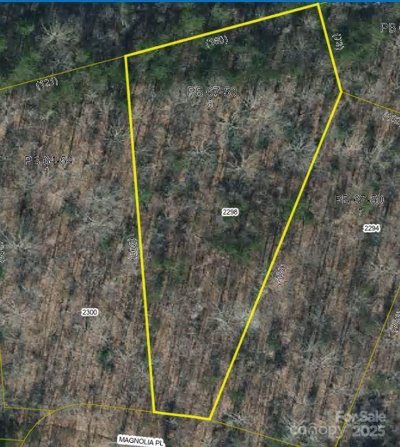 2296 Magnolia Place - Photo 1