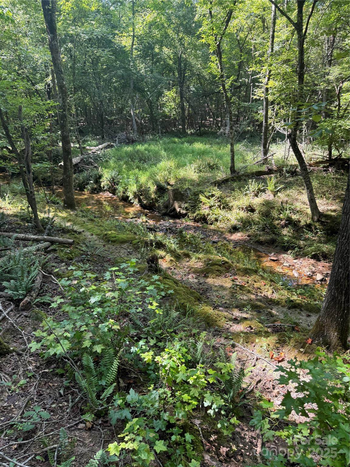 000 Daystar Road - Photo 1