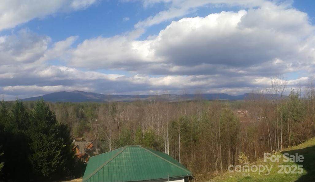 tbd Misty Mountain Drive - Photo 1