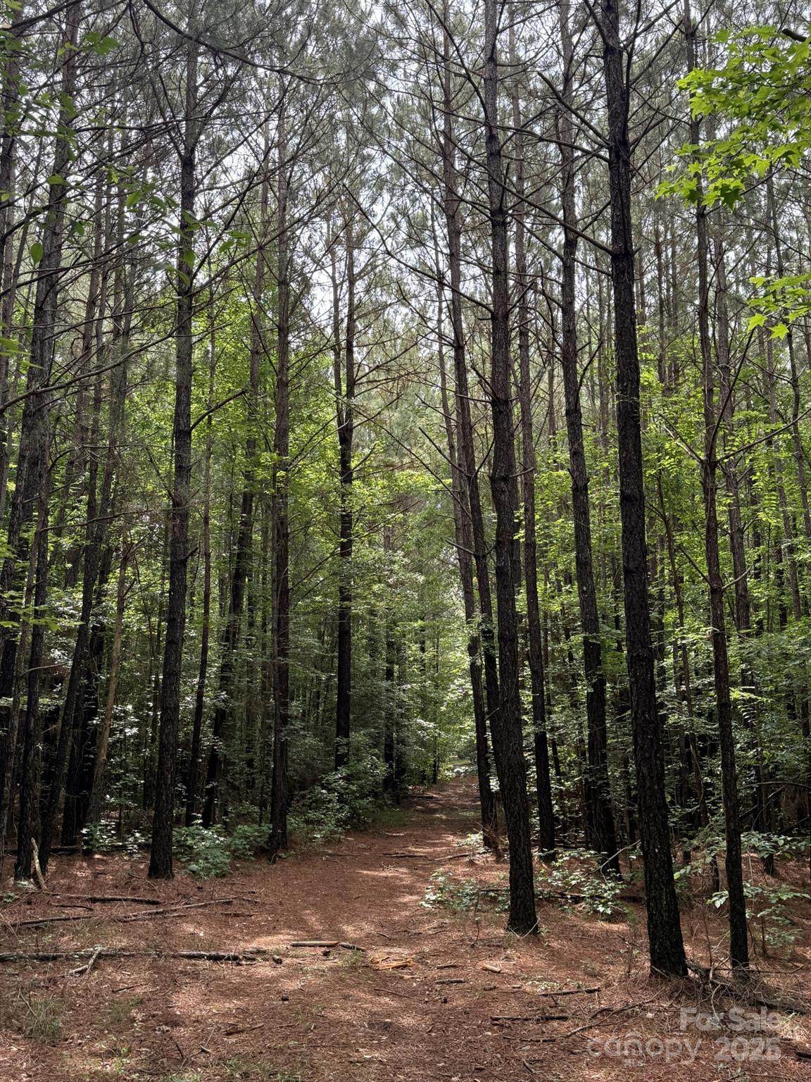 325 Kennedy Road - Photo 1