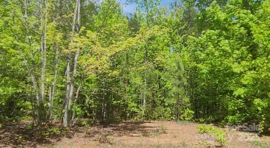 3601 Big Level Road - Photo 1