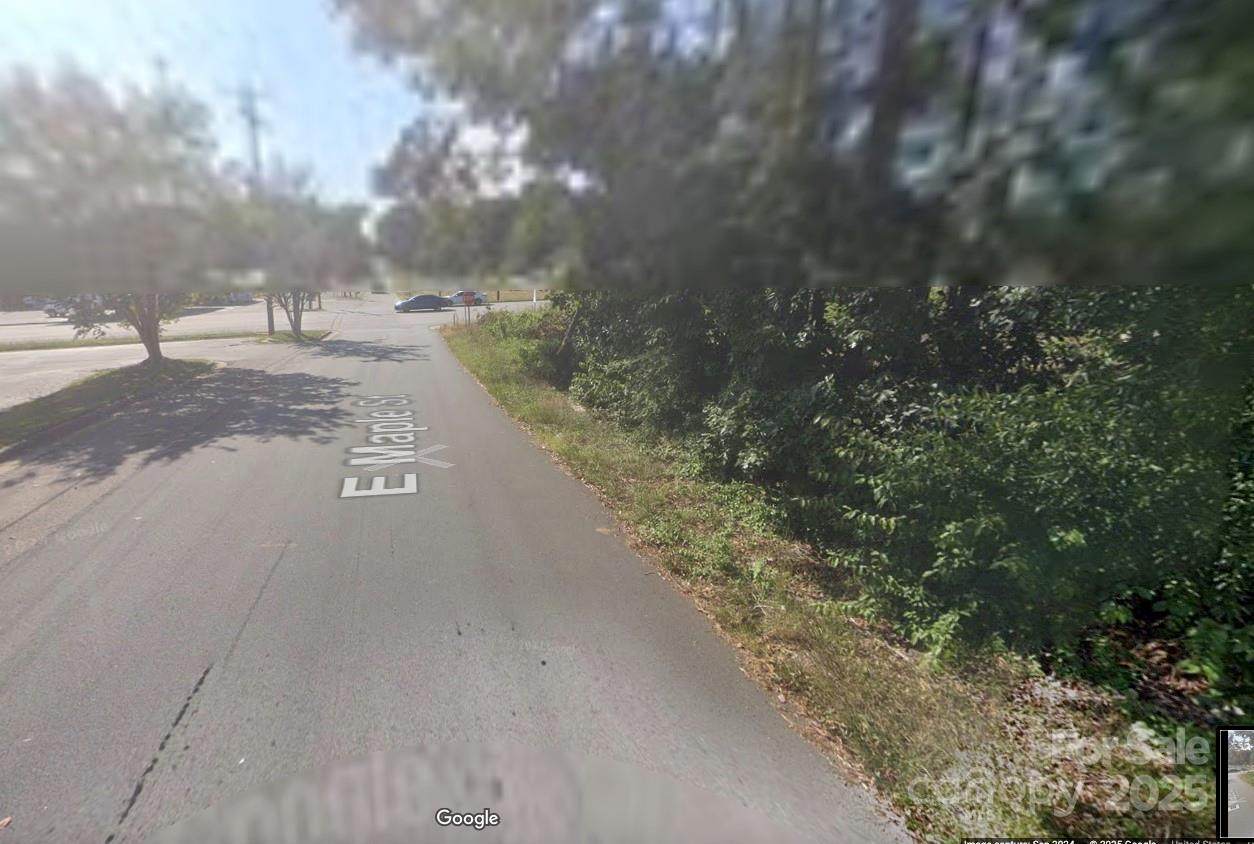 117 Maple Street - Photo 1
