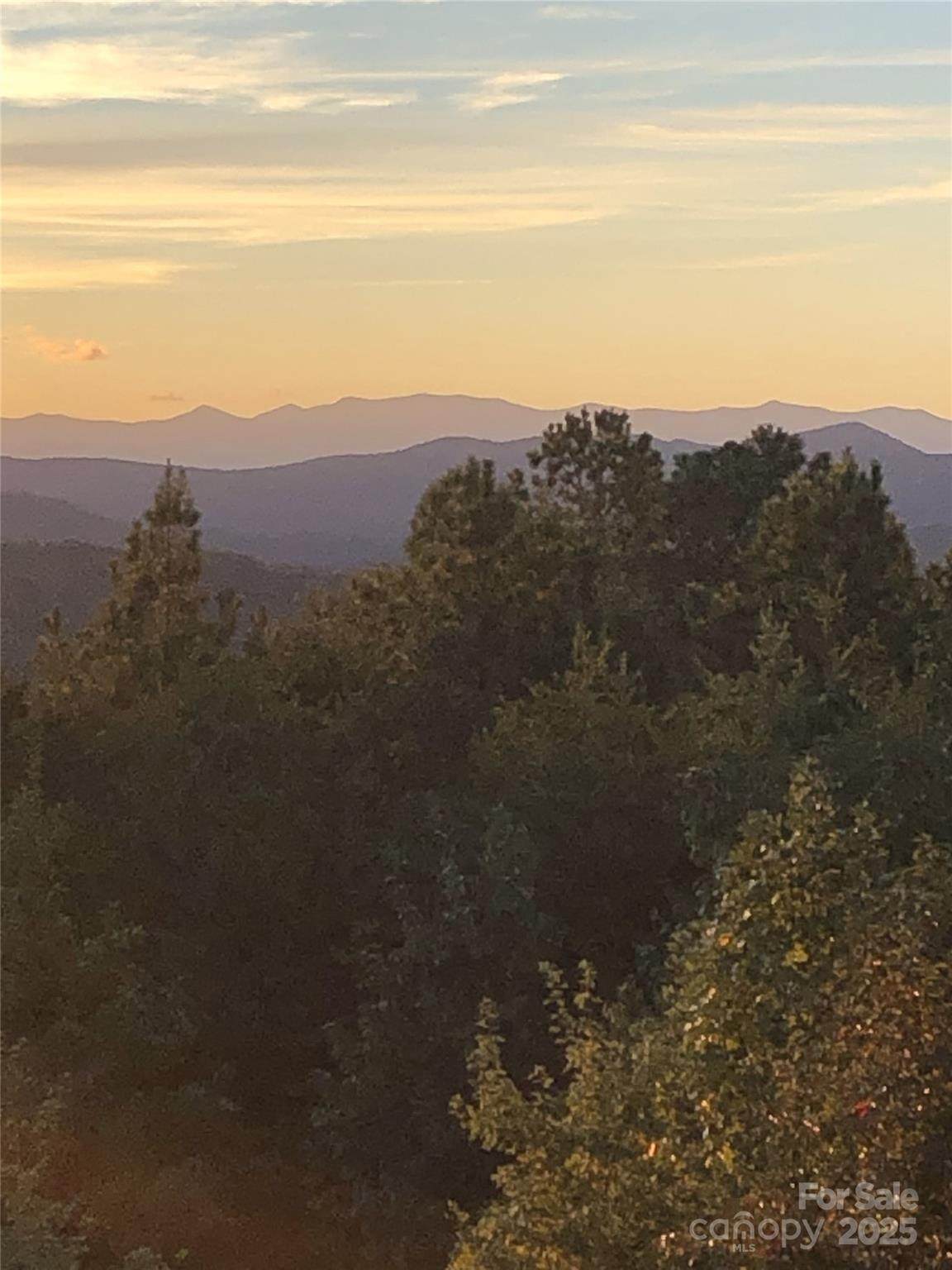 000 Mountain Lookout Drive - Photo 1