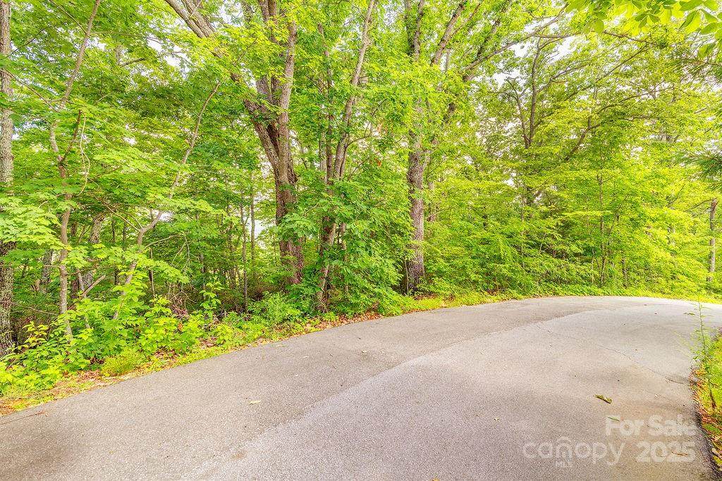 99999 Pheasant Ridge Road - Photo 1