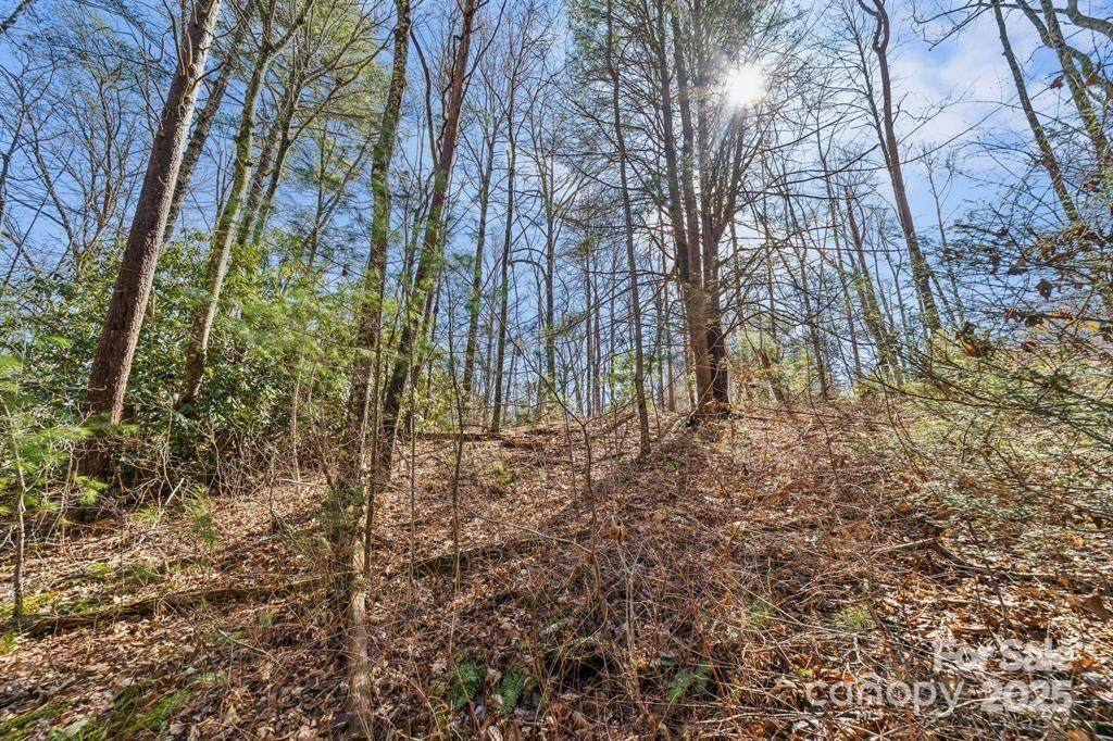 99999 Parker Road - Photo 1